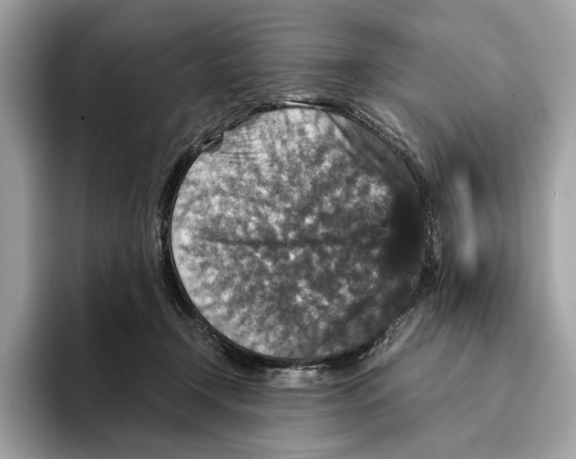 X0000095540366200801111438