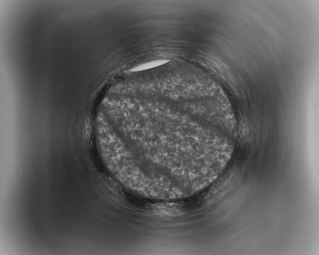 X0000095540367200801111438