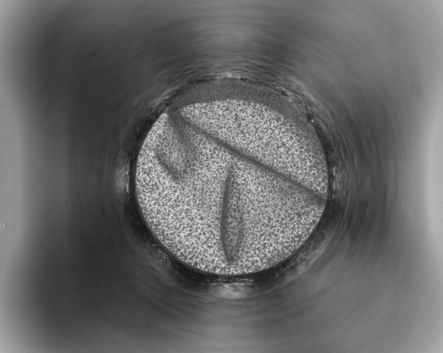 X0000095540368200801111438