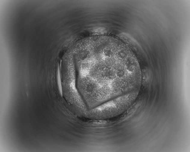 X0000095540369200801111438