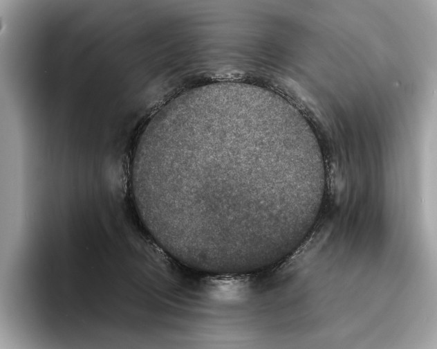 X0000095540370200801111438