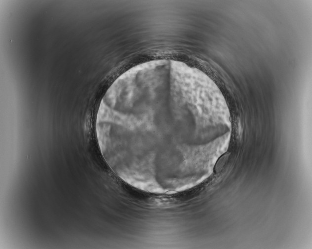 X0000095540372200801111438