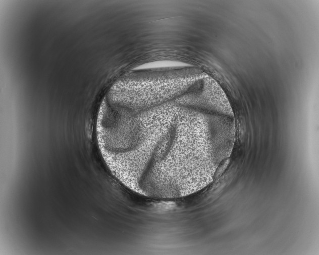 X0000095540374200801111438