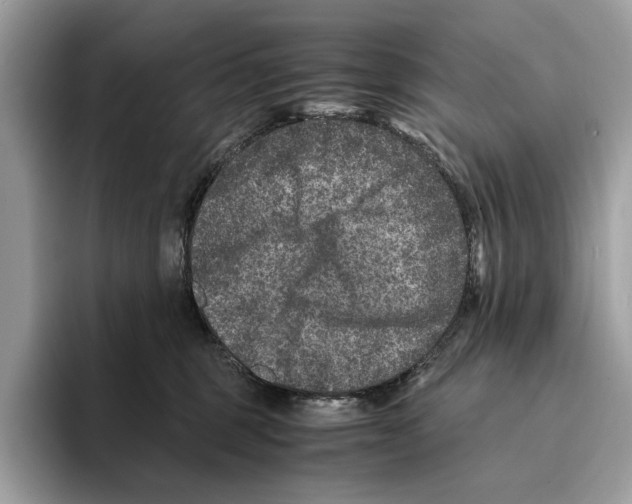 X0000095540375200801111438