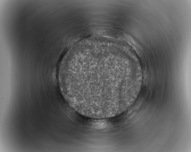 X0000095540377200801111438