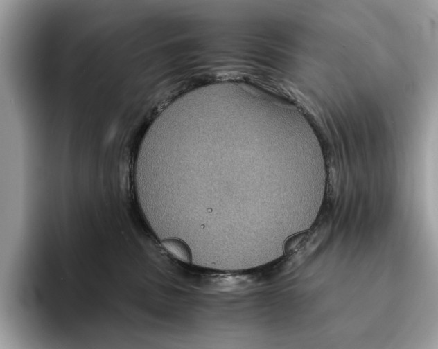 X0000095540379200801111438