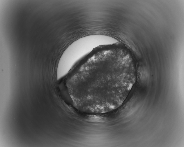 X0000095540380200801111438