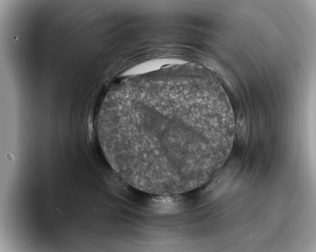 X0000095540381200801111438