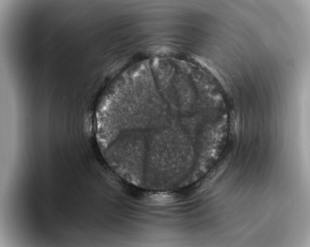 X0000095540383200801111438