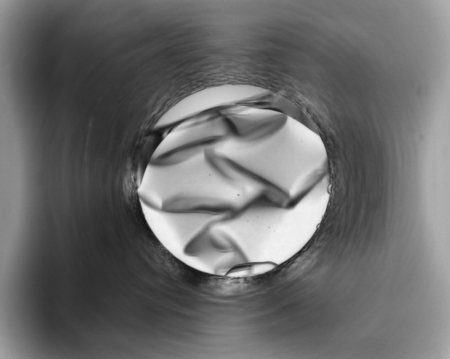 X0000095540384200801111438