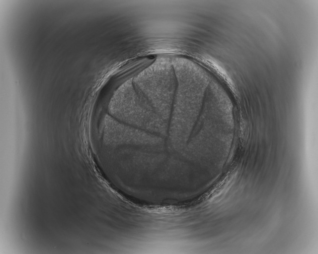 X0000095540385200801111437