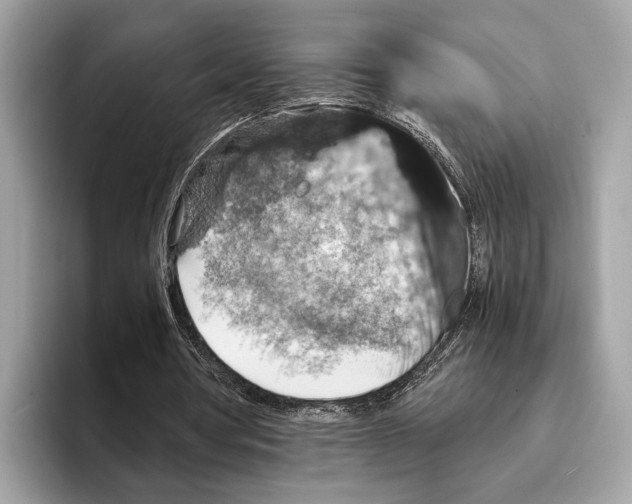 X0000095540386200801111437