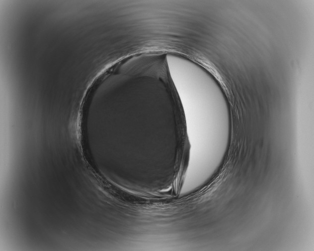 X0000095540387200801111437