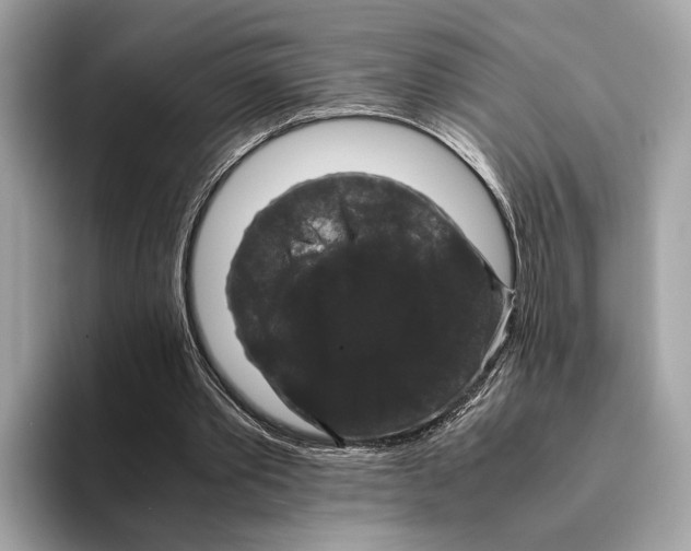 X0000095540389200801111437