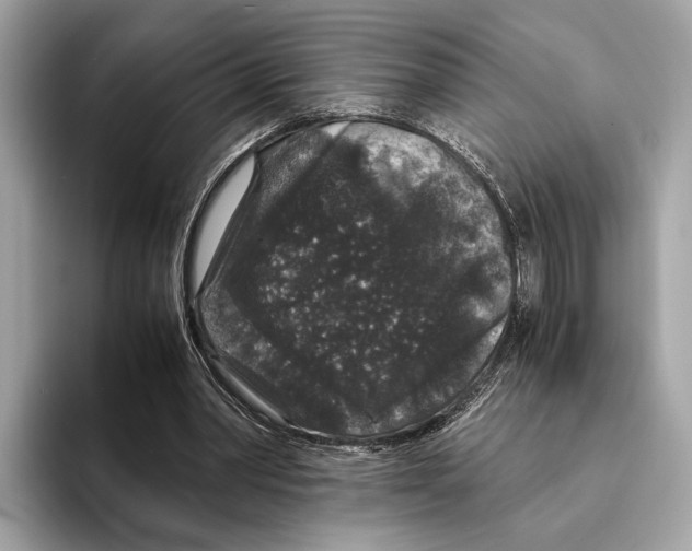 X0000095540390200801111437