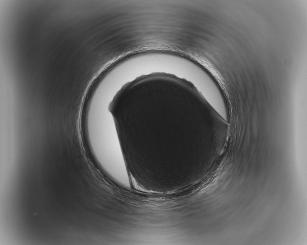 X0000095540391200801111437