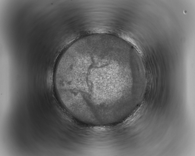 X0000095540394200801111437