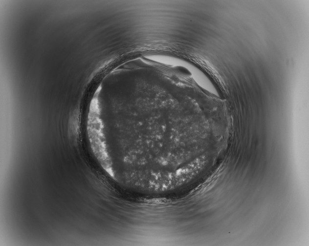 X0000095540396200801111437