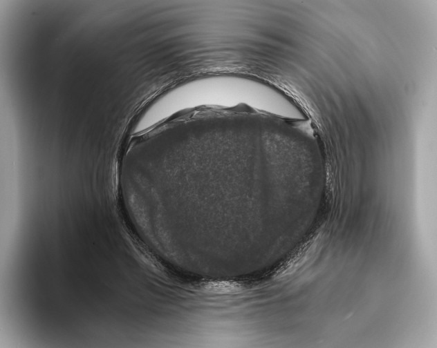 X0000095540397200801111437