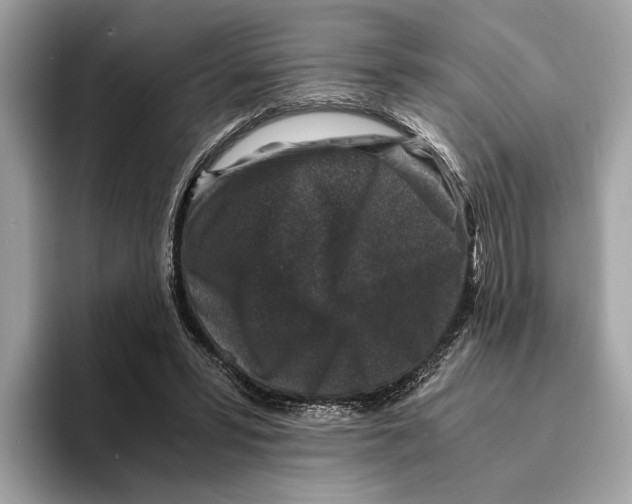 X0000095540399200801111437