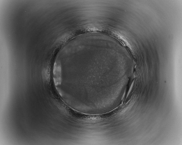 X0000095540402200801111437