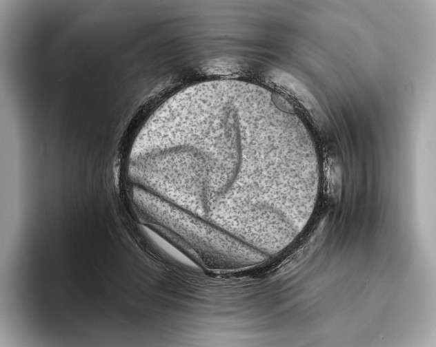 X0000095540404200801111437