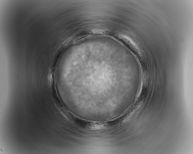 X0000095540405200801111437