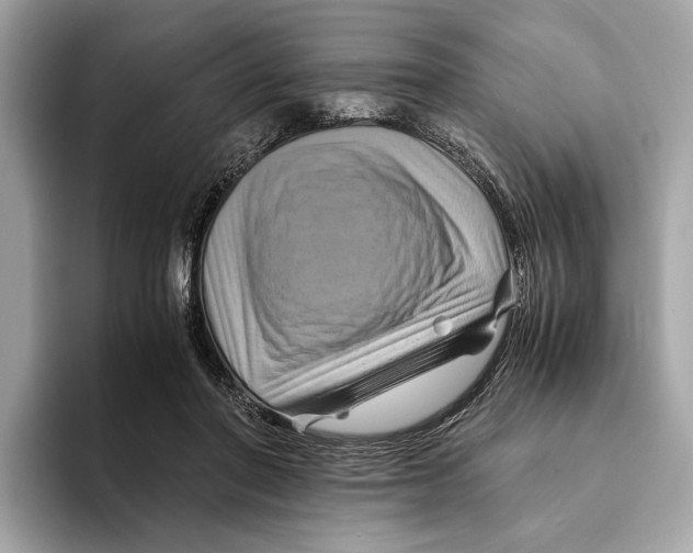 X0000095540406200801111437