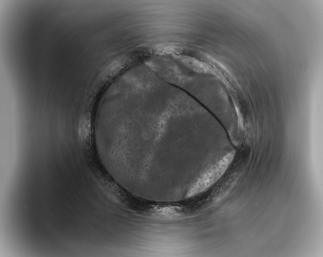 X0000095540407200801111437