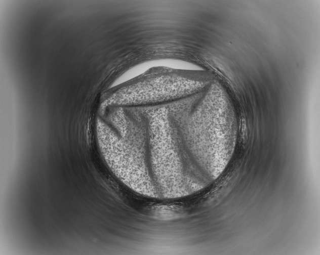 X0000095540408200801111437