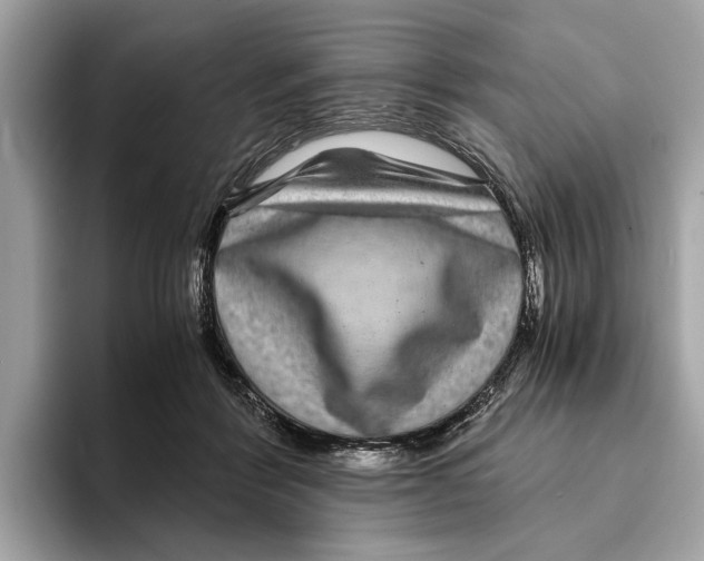 X0000095540412200801111437