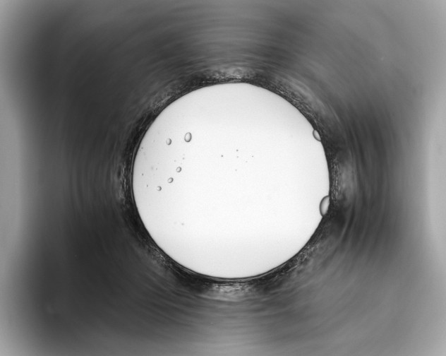 X0000095540414200801111437