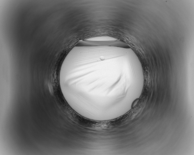 X0000095540418200801111437