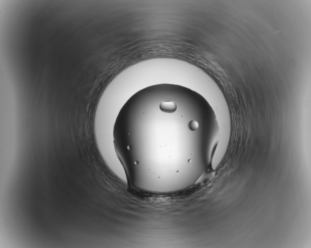 X0000095540419200801111437