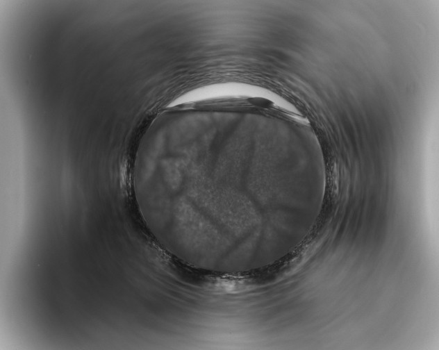 X0000095540420200801111437