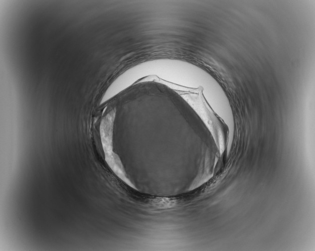 X0000095540421200801111437