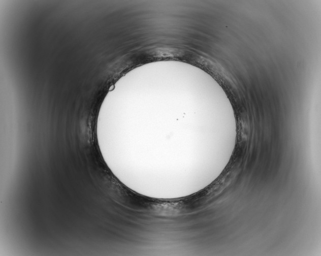 X0000095540422200801111437