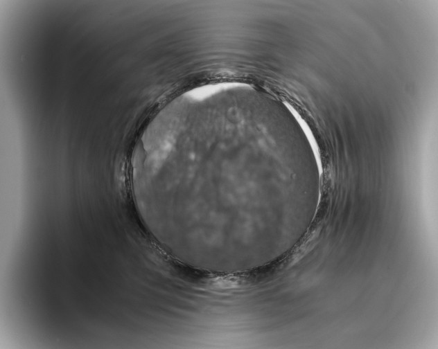 X0000095540423200801111437