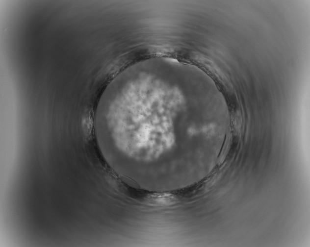 X0000095540427200801111437