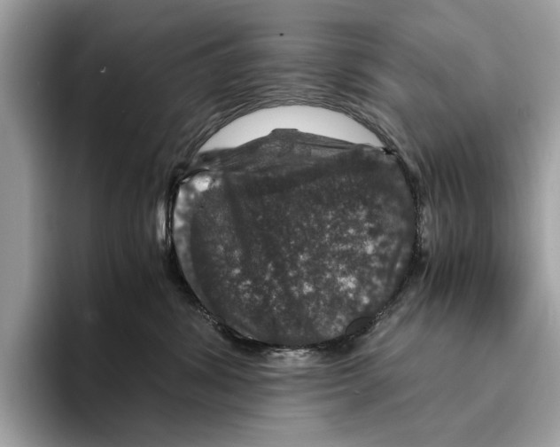 X0000095540428200801111437