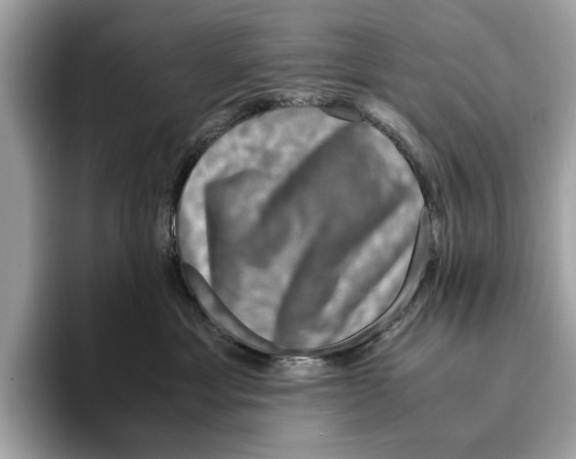 X0000095540429200801111437