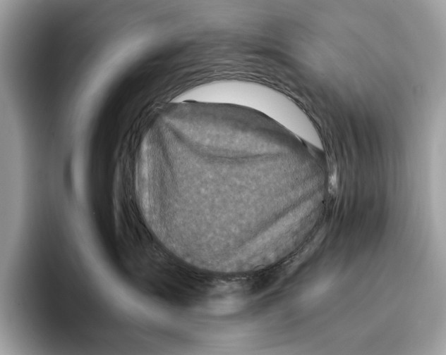 X0000095540431200801111437