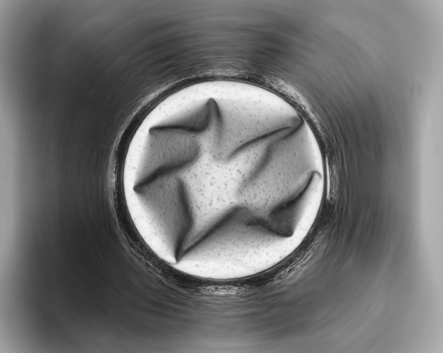 X0000095540435200801111436