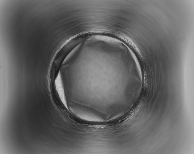 X0000095540436200801111436