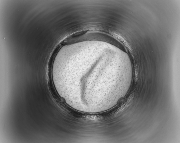 X0000095540439200801111436