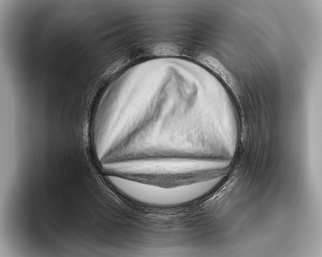 X0000095540441200801111436