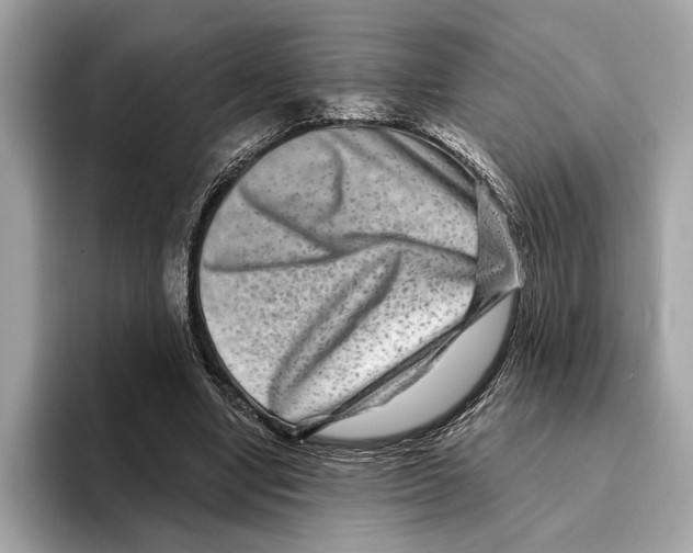 X0000095540442200801111436