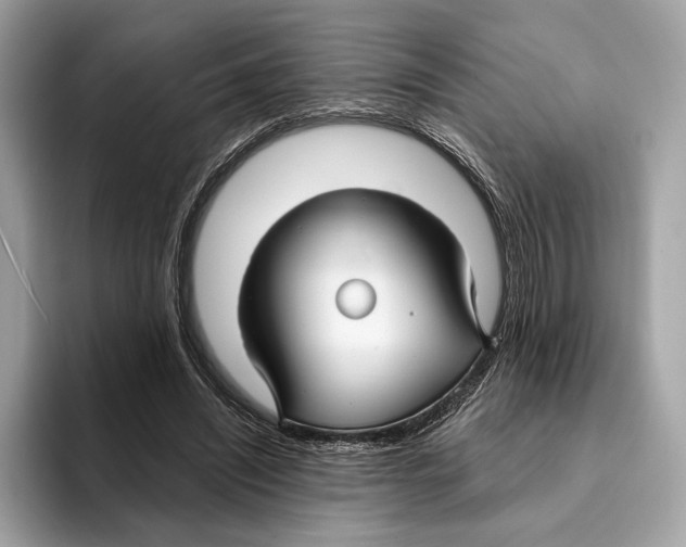 X0000095540444200801111436