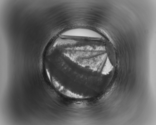 X0000095540447200801111436