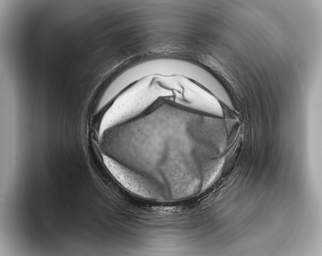 X0000095540448200801111436